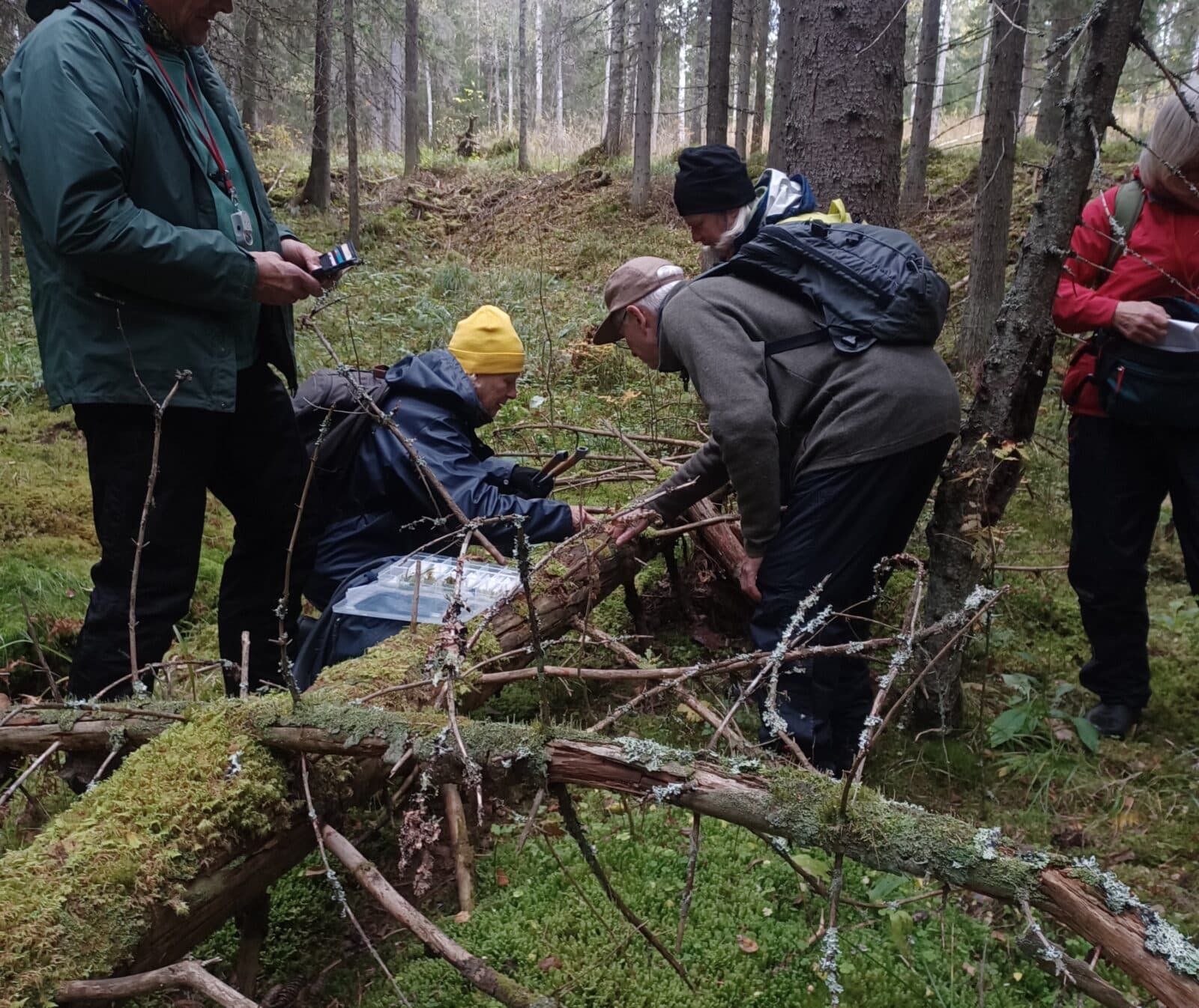 Mosskurs med deltagare vid låga