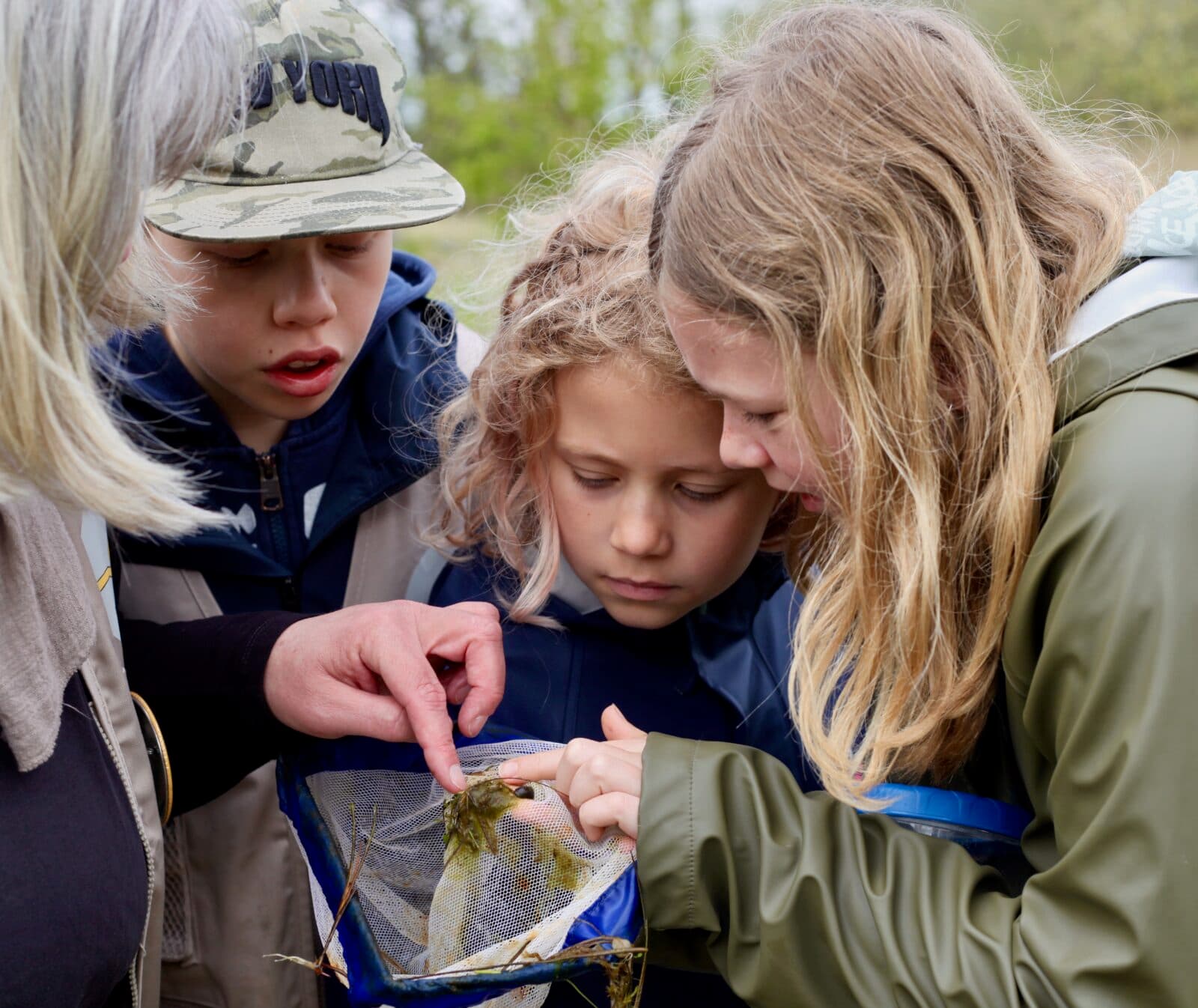 Bilden visar tre barn och en vuxen som tillsammans tittar ner i en genomskinlig plastpåse som en av ...